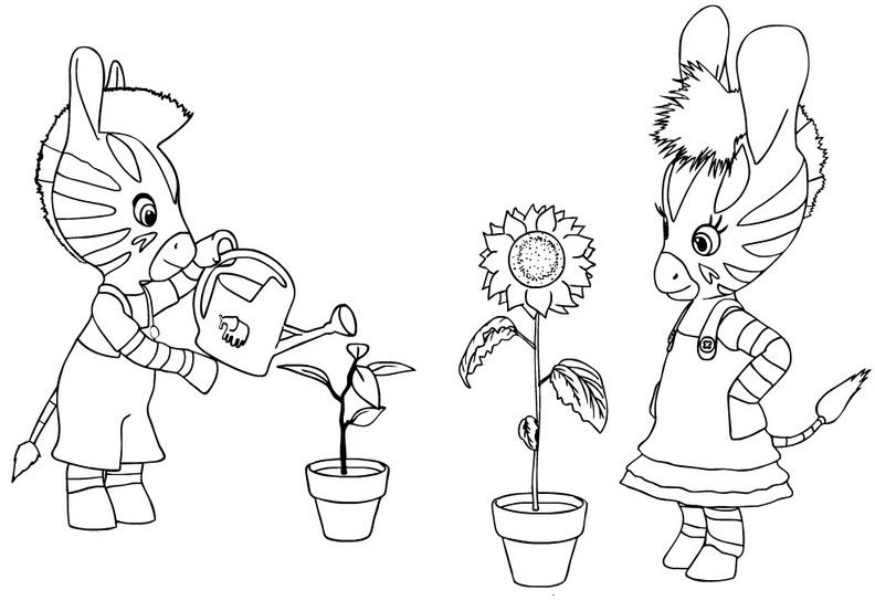 coloriage zou et elzee arrosent les fleurs